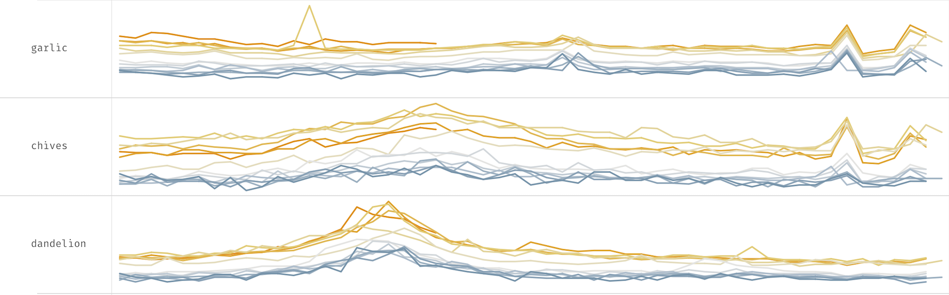 Overlaid yearly line charts revealing seasonal search peaks for garlic, chives and dandelion